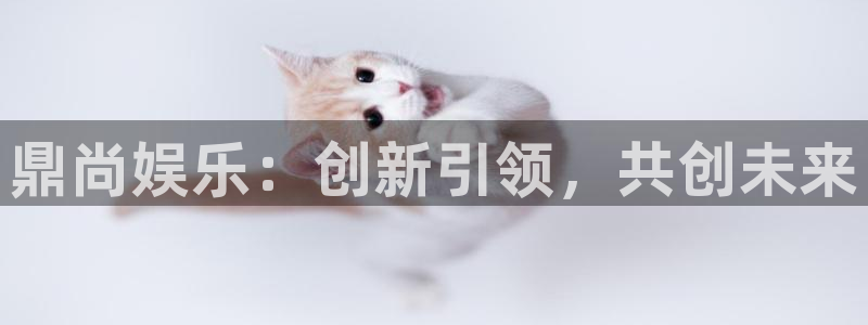 开丰娱乐168：鼎尚娱乐：创新引领，共创未来