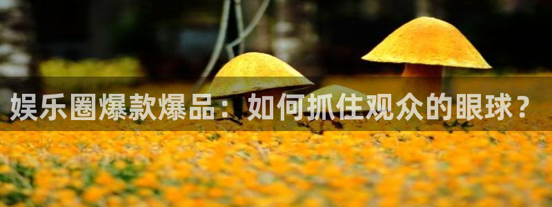 开丰娱乐168：娱乐圈爆款爆品：如何抓住观众的眼球？
